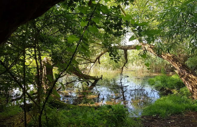 Ferienhof Neuendorfkrug, Lutow - Foto 33