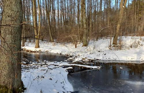 Drewniany Domek w Zakątku Andrzeje Śniczany 18 - Photo 25
