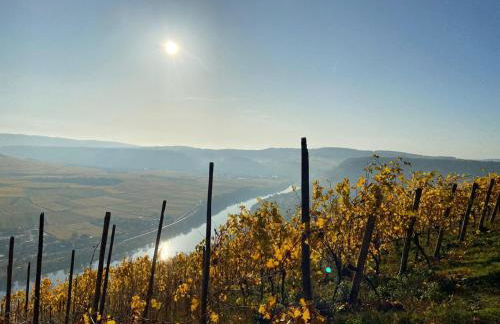 Ferienhaus Elisa - Foto 30