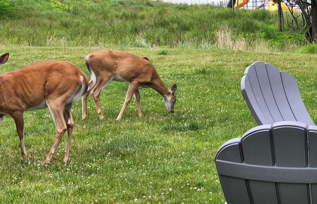 Lake View Retreat Avantstay Entertainer's Home Yard, Deck, Game Room - Foto 54