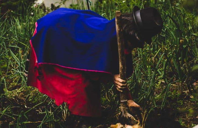 Tour de la cultura misak - Foto 5