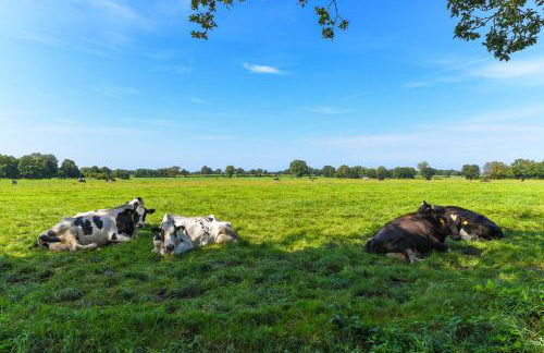 Ferienwohnung Zur Kuhweide - Foto 33