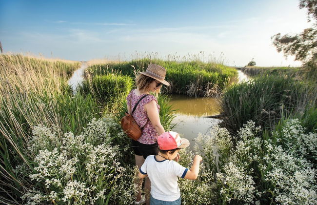 Sun Residences Horizon Bleu - Foto 24