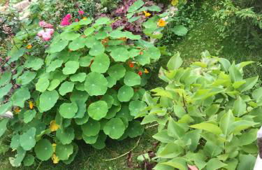 Villa Florentine - Foto 42