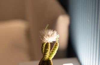 InLuce Loft - Foto 12