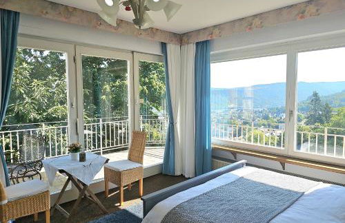 Little Rhine View Château - EG Apartment - Foto 14