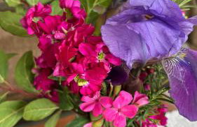 Grandmother's House - Foto 6