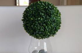 casa Marino - Foto 41