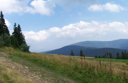 Dom Wakacyjny Letnisko - Foto 59