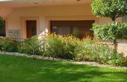 Morus Guesthouse - Foto 18