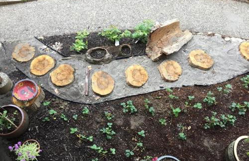 The Flying Whale-MountTabor. - Photo 6