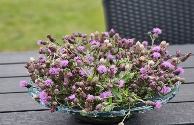 "Matthis" - 500m to the fjord - Foto 2