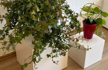 Stadtflair am Portikus - Foto 4