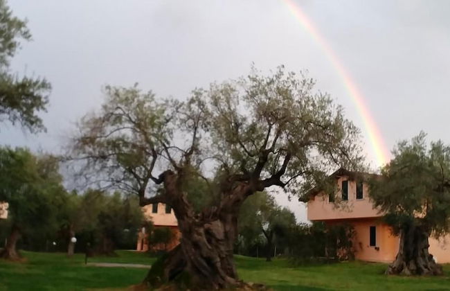 La Piana degli Ulivi - Foto 47