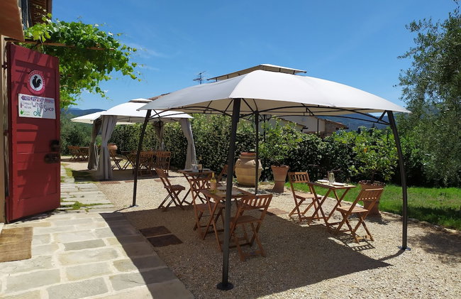 Agriturismo Villa Ulivello in Chianti - Foto 131