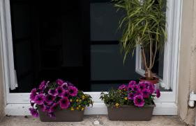 Gite Aux Lauriers - Foto 36