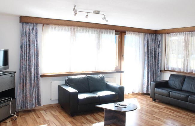 Silberdistel - Foto 9