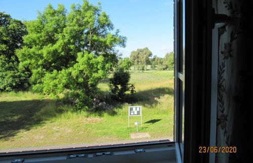 Forsthof Schlemmin - Foto 24