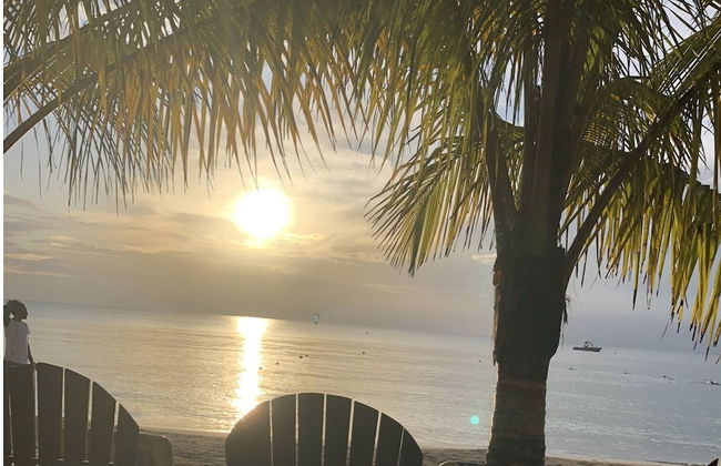 Seacret Studios - Cozy Jamaican Retreat Apts by RedAwning - Photo 1