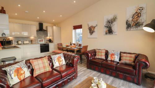 Red Squirrel - Foto 5