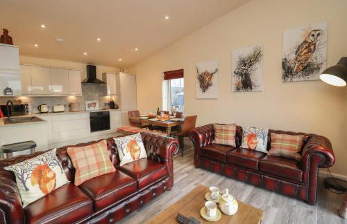 Red Squirrel - Foto 7