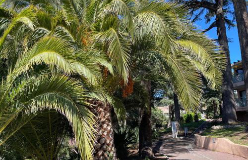 CANNES Appartement Duplex Piscine VUE Mer WIFI PARKING CLIM - Foto 21