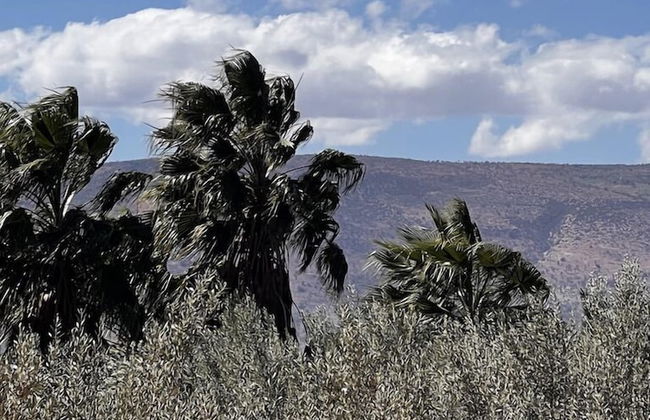 Dar Talmout - Photo 20