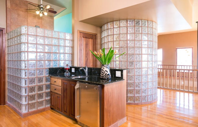 Yellow Bird - Foto 16