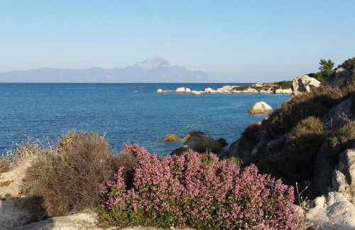 Haus Despina - Foto 11