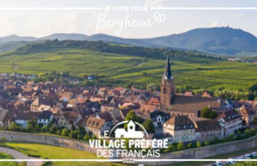 L'Altenberg - Foto 19