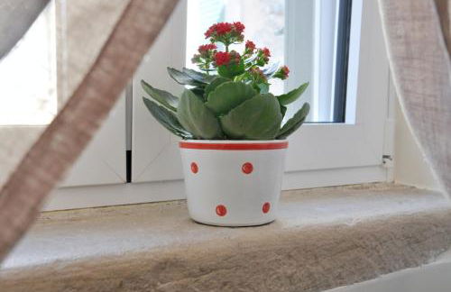 Le Nicchie - Ospitalità di Puglia - Foto 31