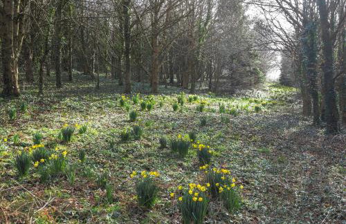 Y Gegin Fach Cardigan - Photo 24