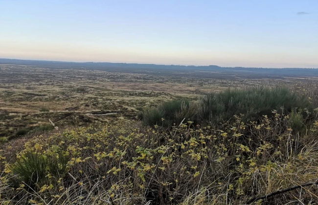 6 Person Holiday Home in Henne-by Traum - Foto 32