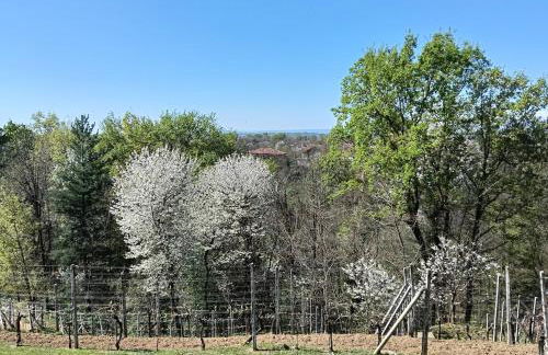 Casa Lodolo Lessona - Foto 17