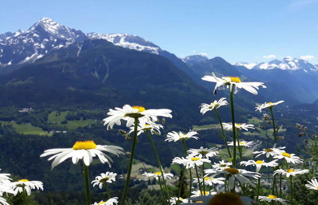 in the Berghanghaus"l Obersalzberg - Foto 24