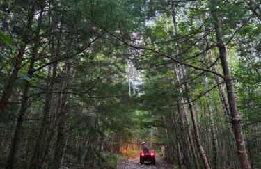 Bear Mountain Lodge. 560 Acre Wooded Estate. - Foto 72