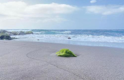 Exotic Ocean View Apartment - Foto 32