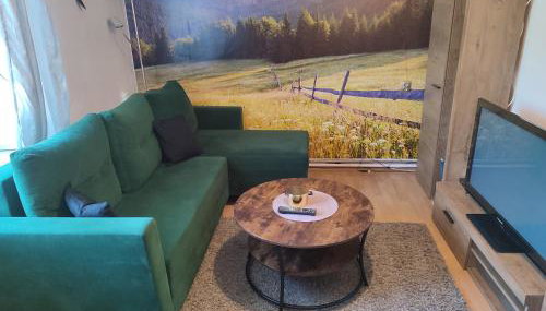 Apartament Wrzos Bieszczady - Foto 4