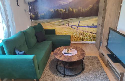 Apartament Wrzos Bieszczady - Foto 4