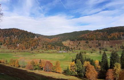 Daheim im Geissetal - Foto 28