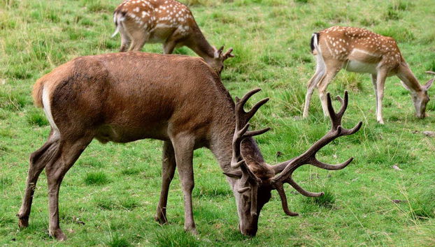 Tour in Lladorre - Photo 2