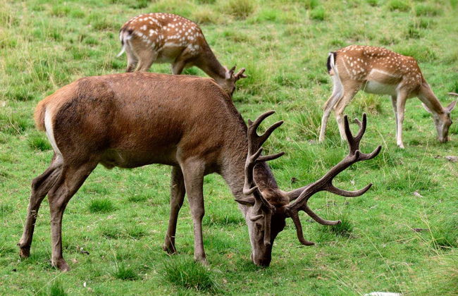 Tour in Lladorre - Photo 2