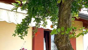 VILLA AMA - Photo 4, Garden view