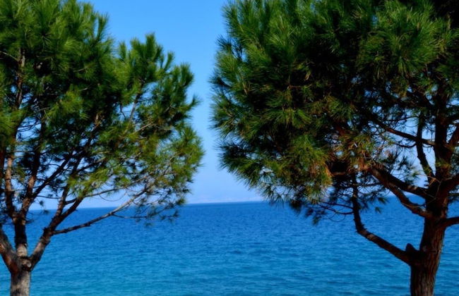 Apartment Yellow - Foto 13