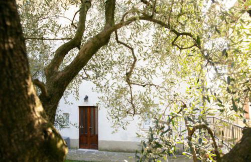 IseoLakeRental - Casa La Rondine - Photo 28