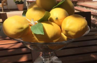 SECRET GARDEN apartment - Foto 8