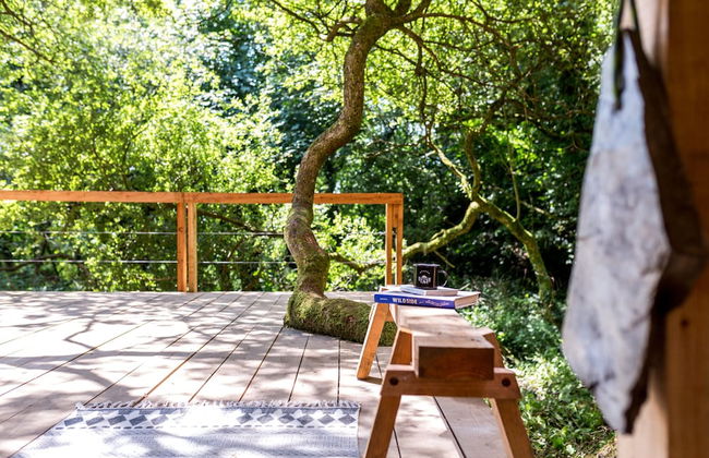 6 Person Cabin, Surrounded by Nature in Tintagel - Foto 17