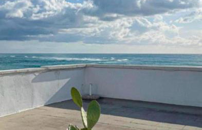 Mediterranea - Photo 6