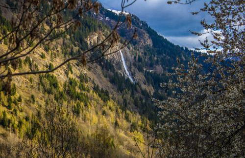 Ski Peak - Chalet Rostaing - Incredible vaulted ceiling dining room and breathtaking garden - Foto 38