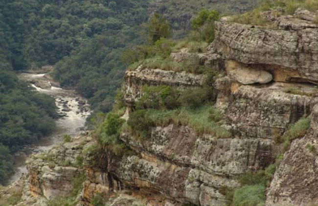 Excursion à Castro et au Canyon Guartelá - Photo 2